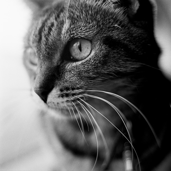 08susy