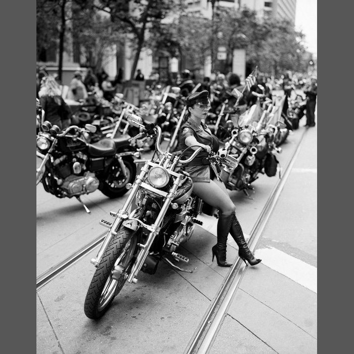 ladyrider