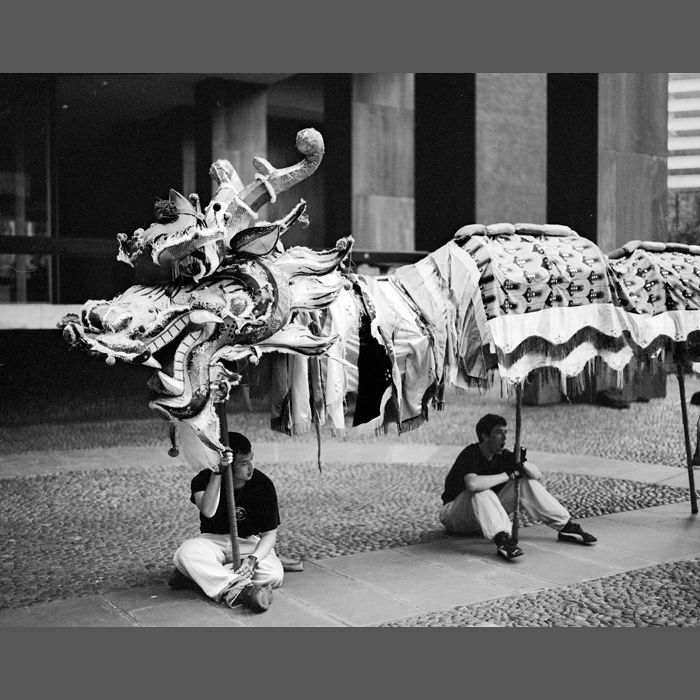 dragon