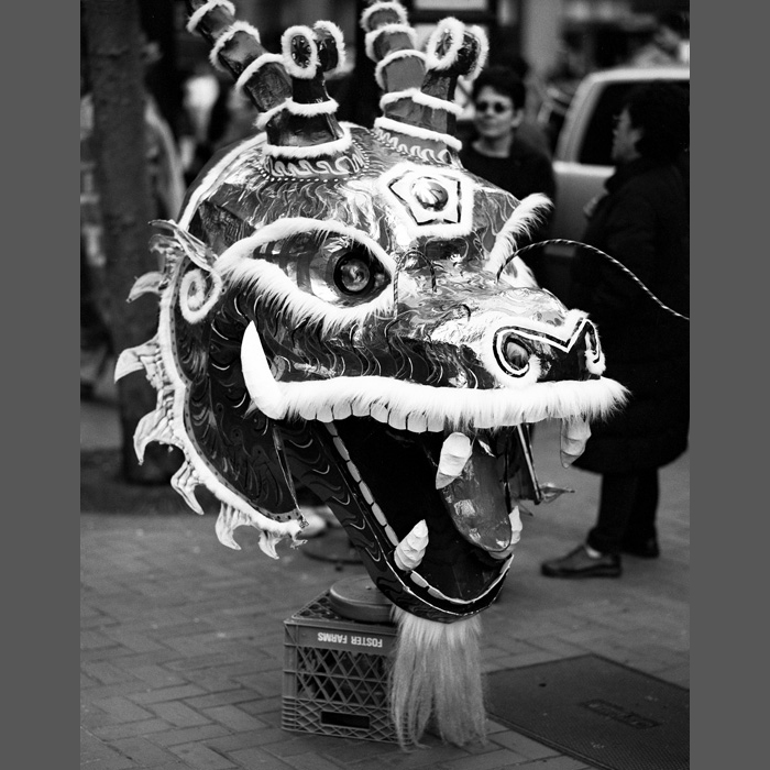 dragonhead
