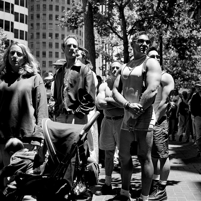 muscles