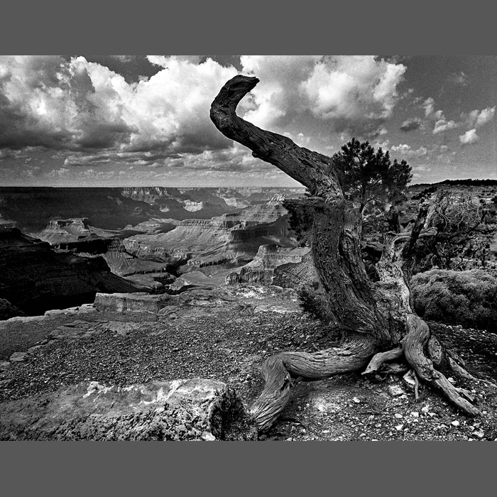 grandcanyon6