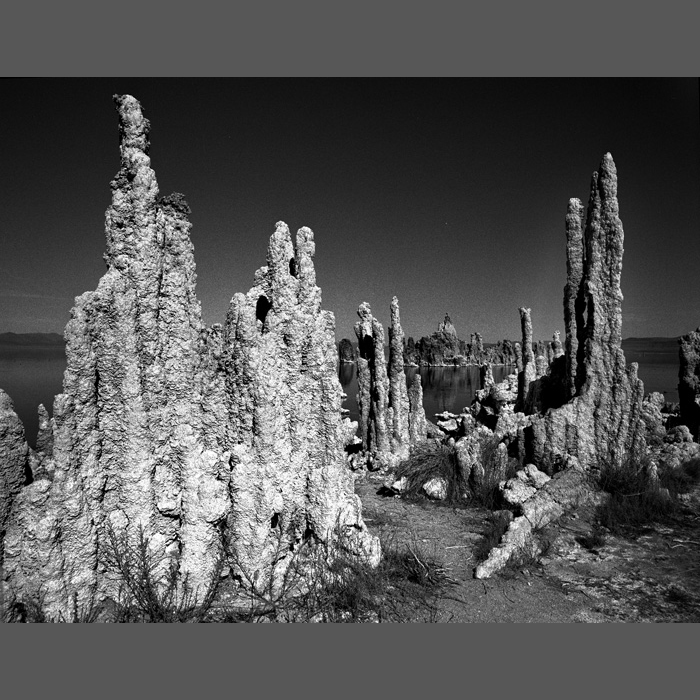 monolake