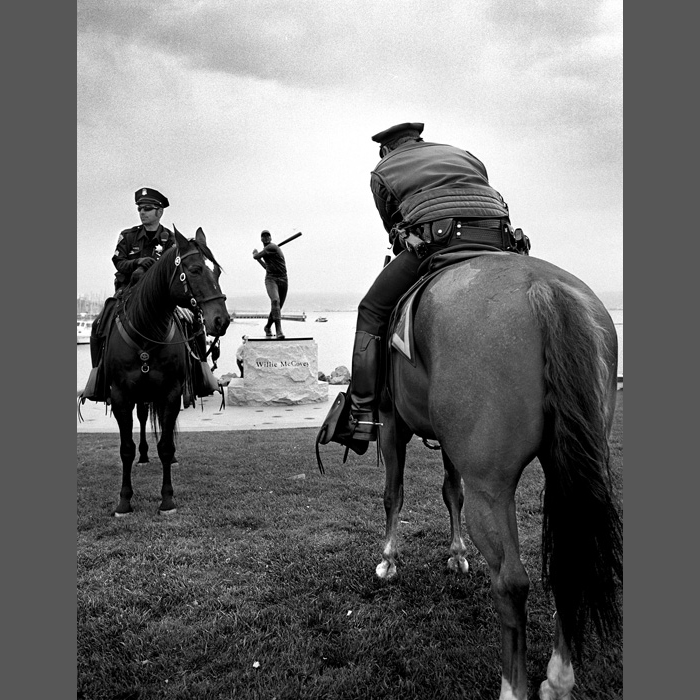 2horsesandcops
