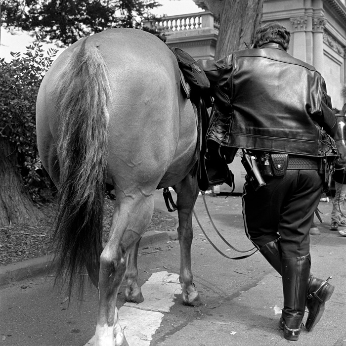 copandhorse