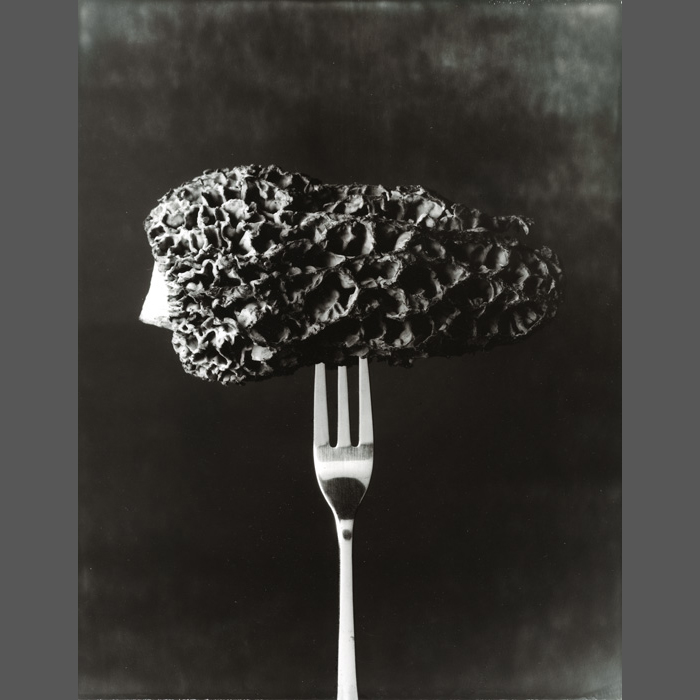 morel